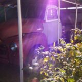 1950 GMC 1/2 Ton Truck 5 Window Deluxe on Ex-Dodge