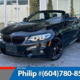 2022020 BMW 230i Xdrive Cabriolet for $0 Build Credit, Poor