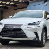 2019 Lexus NX300 AWD 2.0L - Full Service, 27,888 KM