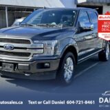 2019 Ford F-150 Platinum SuperCrew 5.5' Box 3.5L V6 EcoBoost