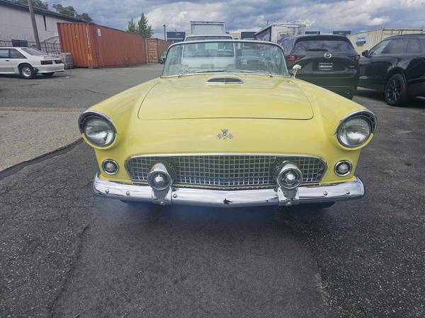 1955 Ford Thunderbird Trim for $0 Build Credit, Poor Credit,