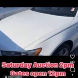 2023 Model Trim Saturday Auctions 2:30 PM (Opens 12:00 PM)