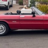 1986 Alfa Romeo Spider Graduate for $0 Build Credit, Poor