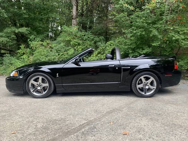 2004 Mustang SVT Terminator for $0 Build Credit, Poor Credit,