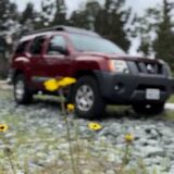 2006 Nissan Xterra Manual Trim for $0 Build Credit, Poor