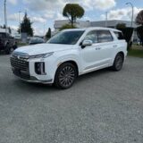 2025 Hyundai Palisade Calligraphy for $0 Build Credit, Poor Credit,