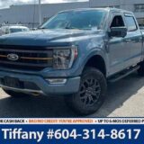 2023 Ford F-150 Tremor - Interior Work Surface/Twin Panel Moonroof