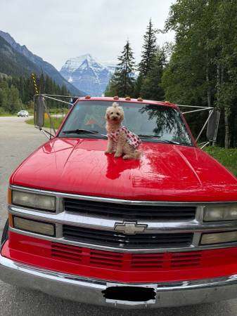1995 Chev 3500 Cheyenne for $0 Build Credit, Poor Credit,