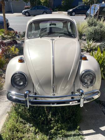 1967 Volkswagen Beetle - Fully Restored for $0 Build Credit,