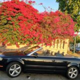 2023 Audi A4 Convertible - Gas Saver for $0 Build